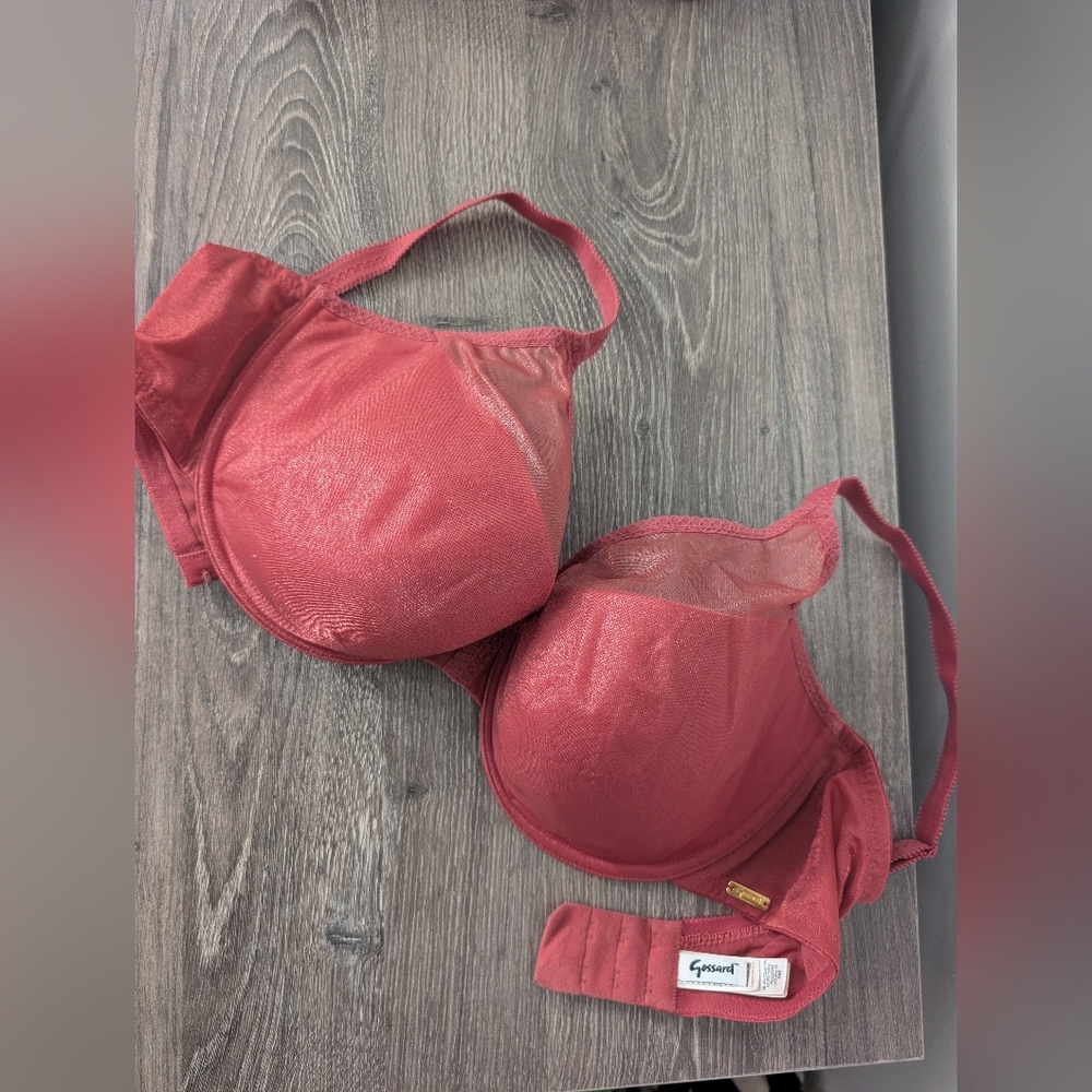 Gossard Underwire Shimmer Bra‎ 36DD